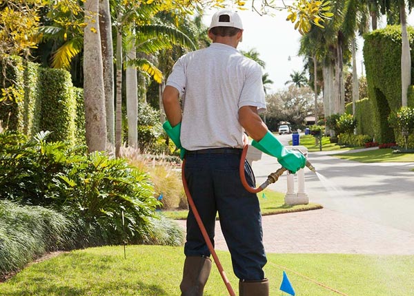 About Ashland NH Pest Control Pros